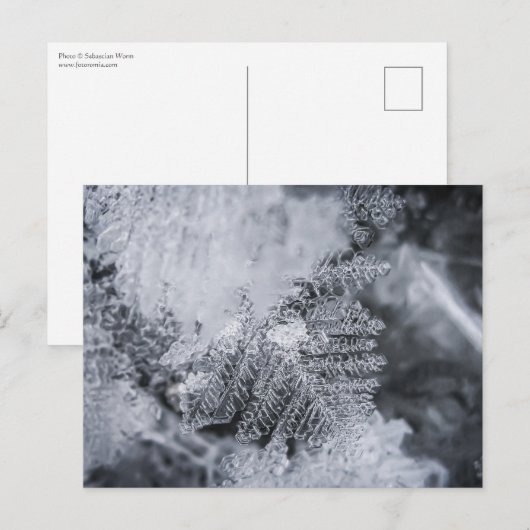 Eiskristall-Foto Postkarte (Vorne/Hinten)