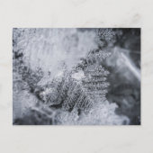 Eiskristall-Foto Postkarte (Vorderseite)