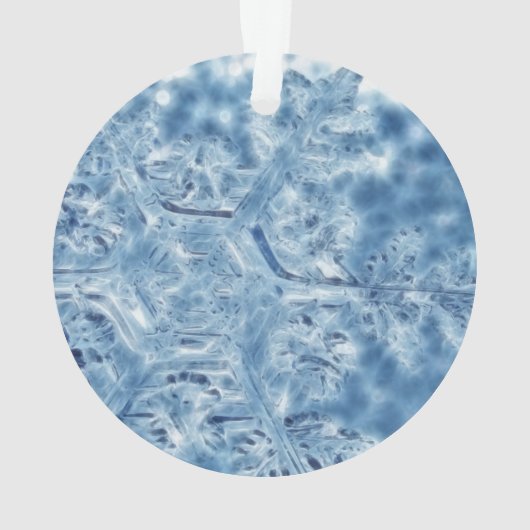 Eiskristall Fraktal Snowflake Ornament (Rückseite)