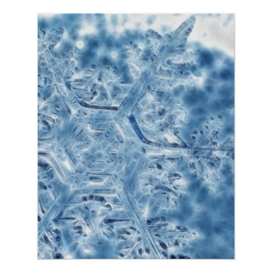 Eiskristall Fraktal Snowflake Poster (Vorderseite)