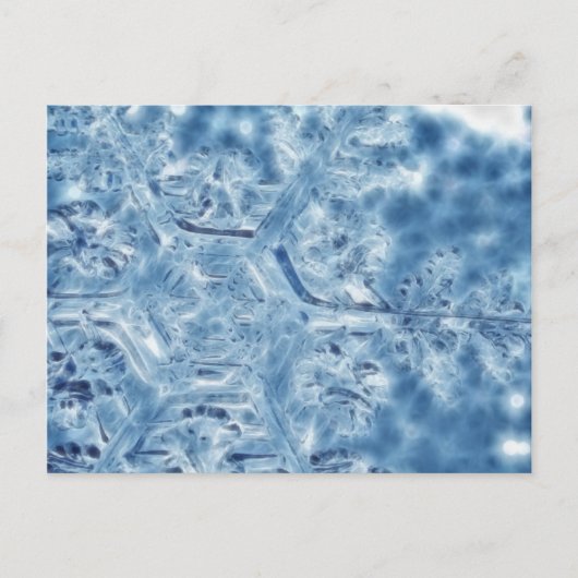 Eiskristall Fraktal Snowflake Postkarte (Vorderseite)