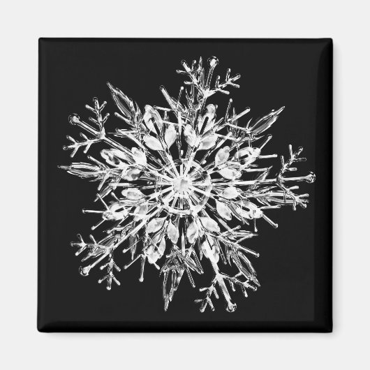 Eiskristall Magnet (Vorne)