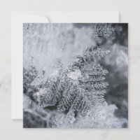 Eiskristall-Naturfotokarte