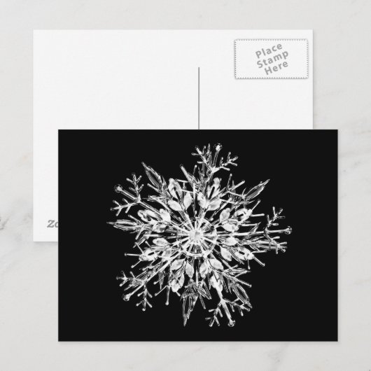 Eiskristall Postkarte (Vorne/Hinten)