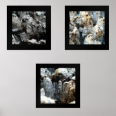 Eiskristalle 12x12 Poster Print Set (Vorderseite)