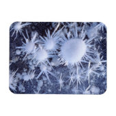 Eiskristalle in der Sierra Magnet (Horizontal)