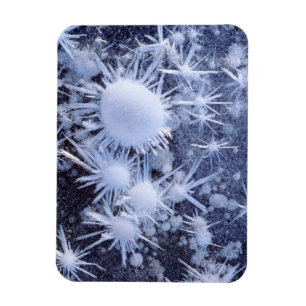 Eiskristalle in der Sierra Magnet