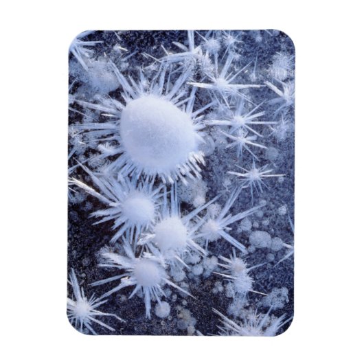 Eiskristalle in der Sierra Magnet (Vertikal)