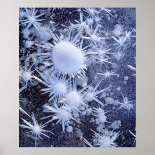 Eiskristalle in der Sierra Poster