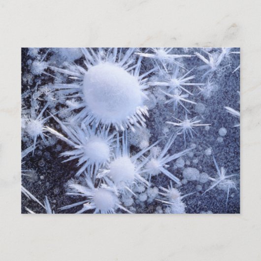 Eiskristalle in der Sierra Postkarte (Vorderseite)