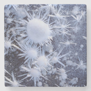 Eiskristalle in der Sierra Steinuntersetzer