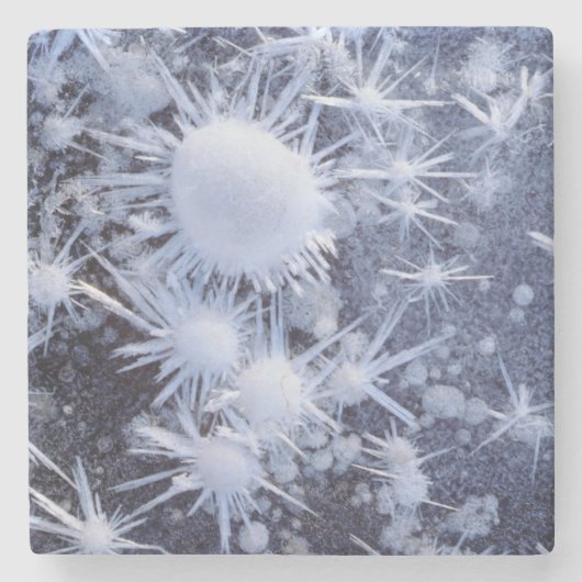 Eiskristalle in der Sierra Steinuntersetzer (Vorderseite)