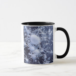Eiskristalle in der Sierra Tasse