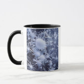 Eiskristalle in der Sierra Tasse (Links)