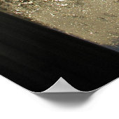 Eiskristalle Poster (Ecke)