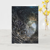 Eisöffnung in einer Eishöhle Karte (Gelbe Blume)