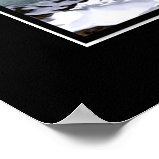 Eisschildkröten Poster (Ecke)