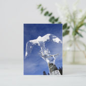 Eisskulptur am Lake Louise, Alberta, Kanada Postkarte (Stehend Vorderseite)