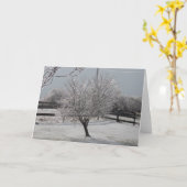 Eissturm Karte (Gelbe Blume)