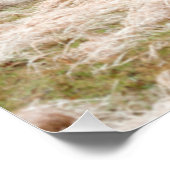 Eissturm Rural Tennessee - Landschaftliches Foto Poster (Ecke)