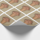 EISTÜTEN GESCHENKPAPIER (Ecke)