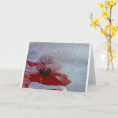 Eisverkleidung, Karte (Gelbe Blume)