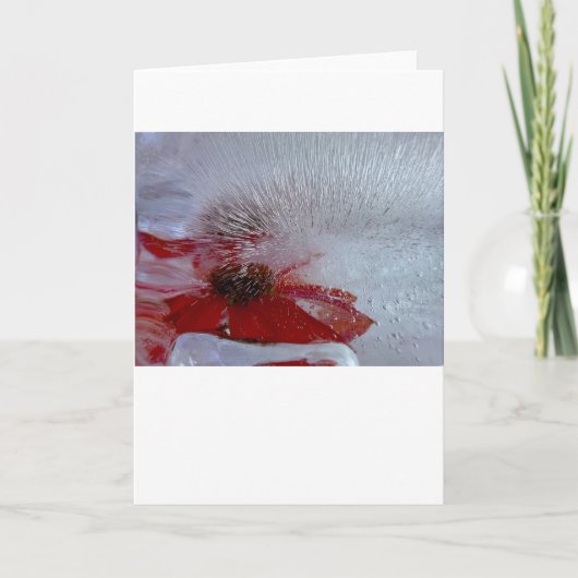 Eisverkleidung, Karte (Vorderseite)