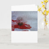 Eisverkleidung, Karte (Gelbe Blume)