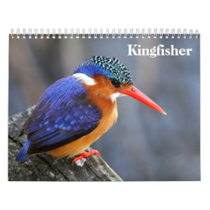 Eisvogel 2027 kalender