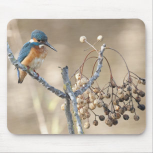 Eisvogel an Hula Reserve Mousepad