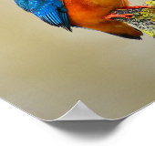 Eisvogel auf einem Ast Poster (Ecke)