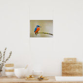 Eisvogel auf einem Ast Poster (Küche)