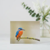 Eisvogel auf einem Ast Postkarte (Stehend Vorderseite)