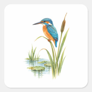 Eisvogel auf einem Schilfrohr an einem stillen Tei Quadratischer Aufkleber