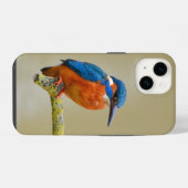 Eisvogel auf Sitzplatz iPhone Hülle (Rückseite (Horizontal))