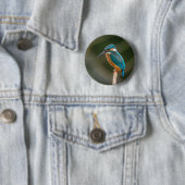 Eisvogel Button (Beispiel)