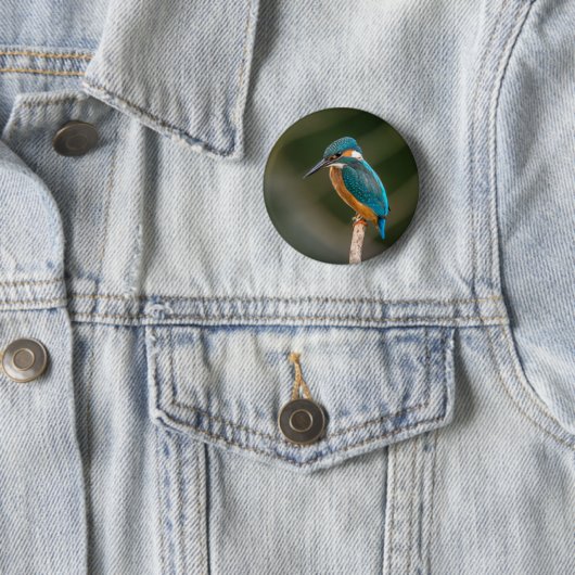 Eisvogel Button (Beispiel)