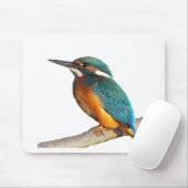 "Eisvogel" Entwurfsprodukte Mousepad (Mit Mouse)