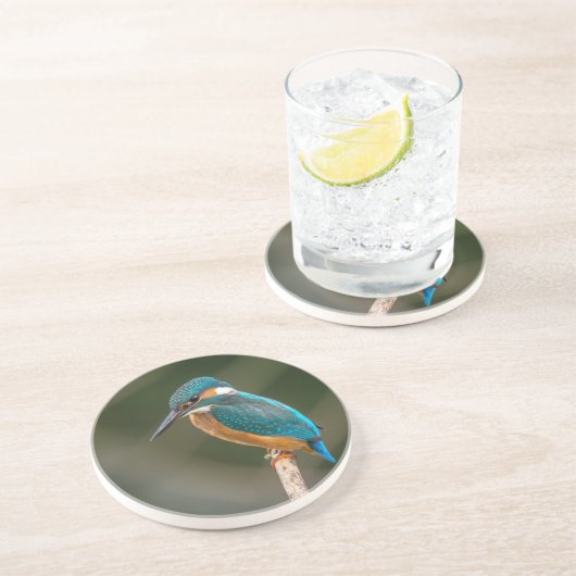 Eisvogel Getränkeuntersetzer (Seite)