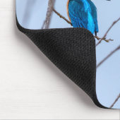 Eisvogel im Ansitz Mousepad (Ecke)