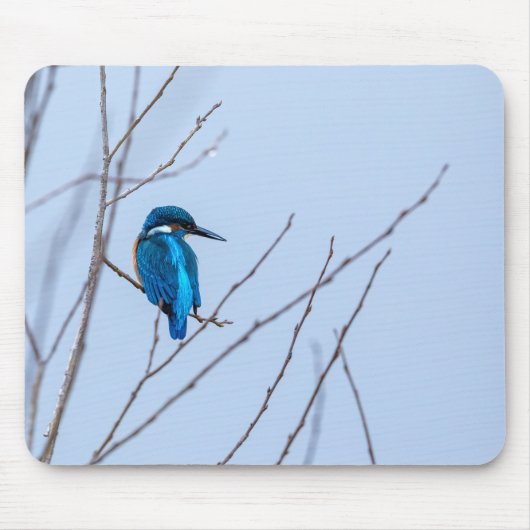 Eisvogel im Ansitz Mousepad (Vorne)