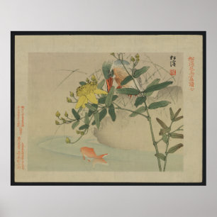 Eisvogel - Japaner-Druck Poster