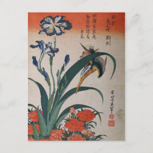 Eisvogel, Japanische Schwertlilie und Nelke Postkarte