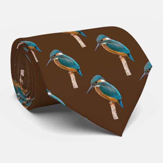 Eisvogel Krawatte (Gerollt)