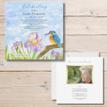 Eisvogel Lila Iris Lebensfeier