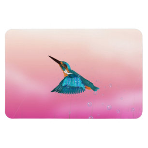 Eisvogel Magnet