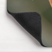 Eisvogel Mousepad (Ecke)