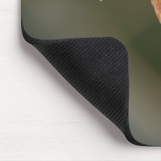 Eisvogel Mousepad (Ecke)