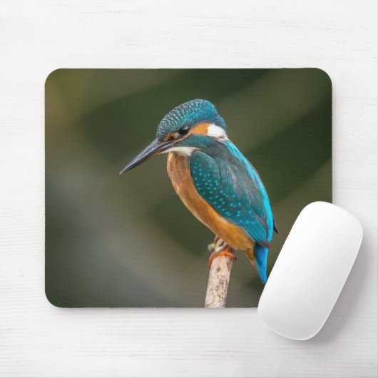 Eisvogel Mousepad (Mit Mouse)