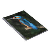 Eisvogel Notizblock (Rechte Seite)